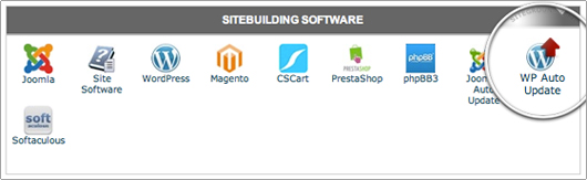 WordPress Autoupdate