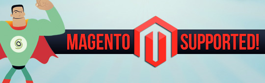 Dynamic Cache for Magento