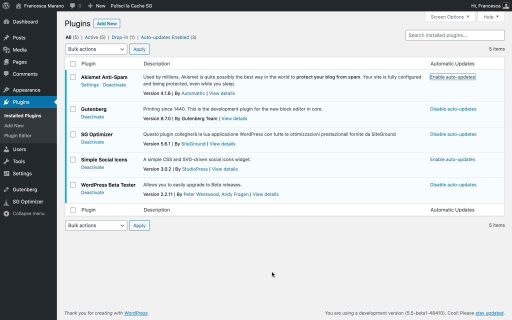 plugin auto-update in WordPress 5.5