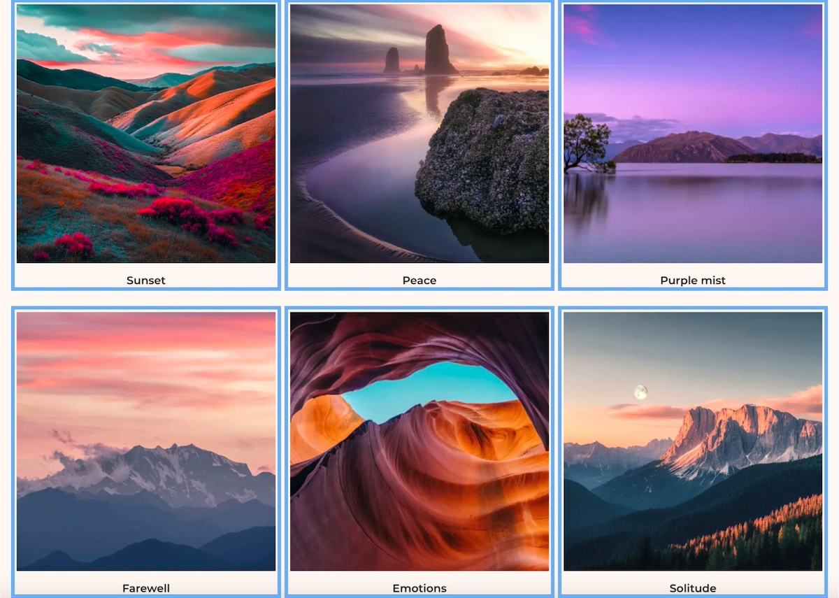 Example of a gallery website layout arranging images in a structured grid format for visually driven content