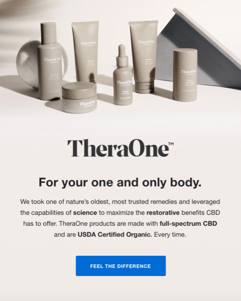 An example email from TheraOne, featuring one CTA