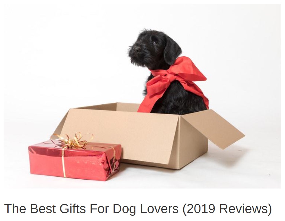 best gifts for dog lovers