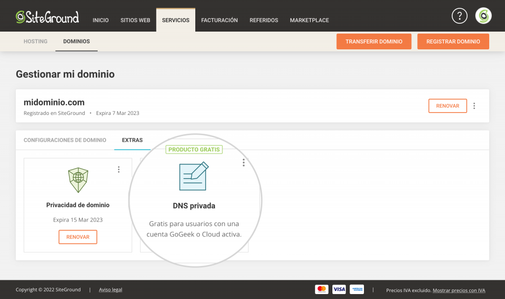 DNS privado SiteGround en gestion de dominio