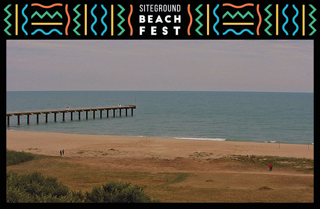 Beach Fest Team building