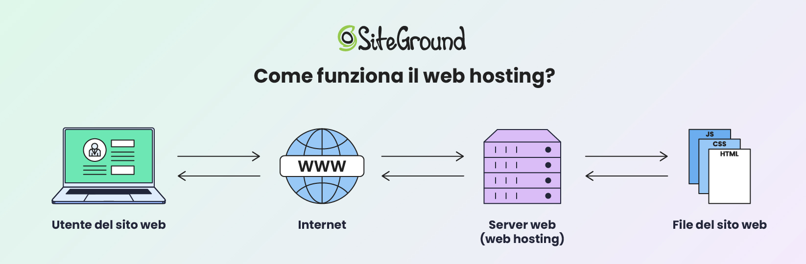 Un'infografica che descrive come funziona il web hosting