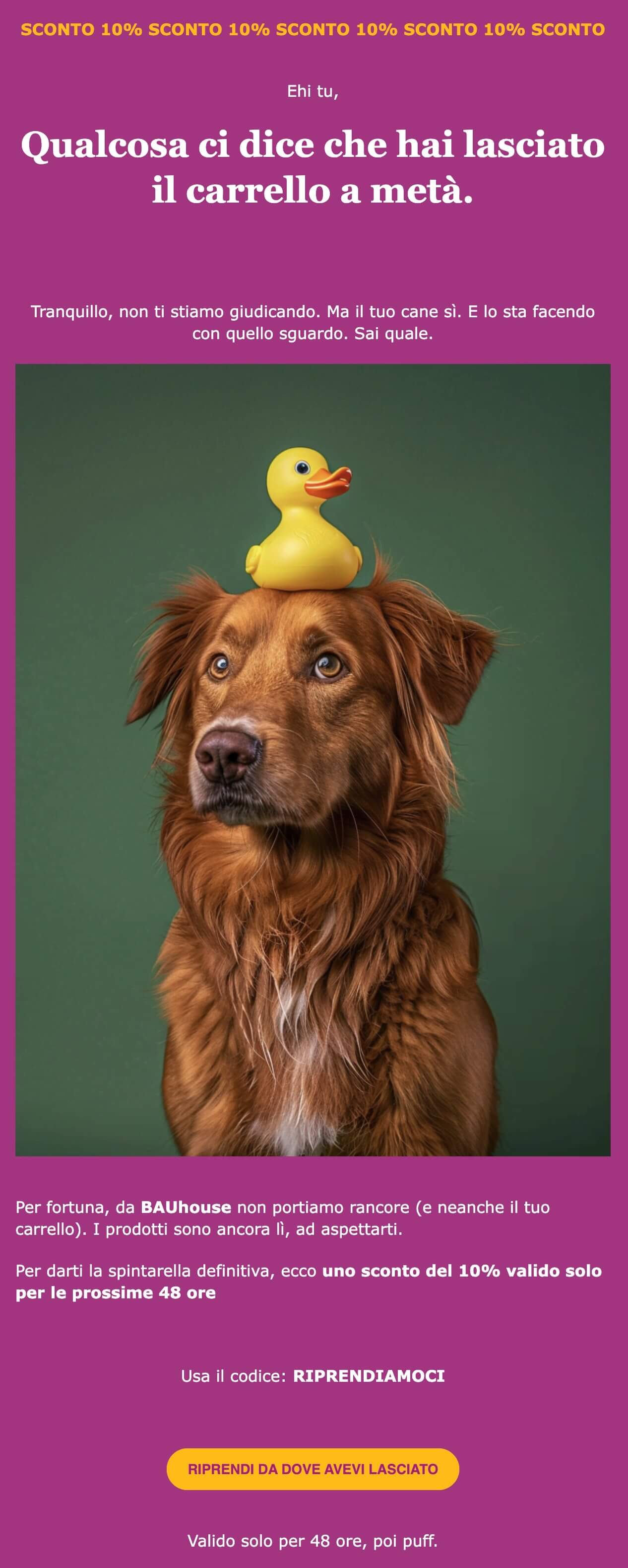 Email da carrello abbandonato di un marchio di accessori per cani. La mail invoglia l'utente a terminare l'acquisto con uno sconto.