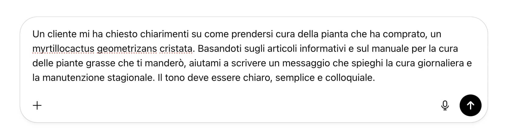 screenshot di un prompt utilizzato per il servizio clienti. il prompt chiede di riassumere le informazioni di articoli e manuali in una semplice spiegazione da passare ai clienti.