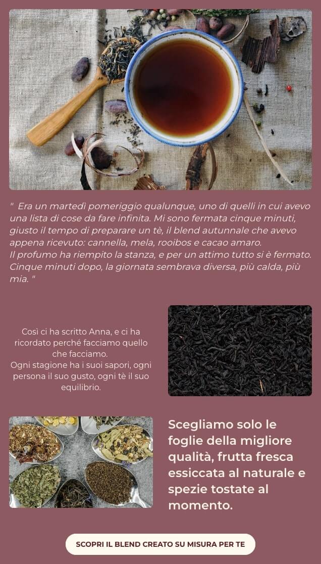 screenshot di una mail che si apre con una recensione di un utente. Poi si legge: Così ci ha scritto Anna, e ci ha ricordato perché facciamo quello che facciamo. 
Ogni stagione ha i suoi sapori, ogni persona il suo gusto, ogni tè il suo equilibrio. Scegliamo solo le foglie della migliore qualità, frutta fresca essiccata al naturale e spezie tostate al momento.
CTA: Scopri il blend creato su misura per te