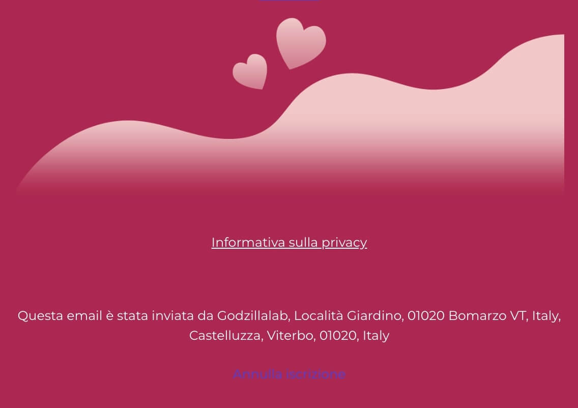 screenshot di un footer email introdotto da una cornice grafica prima delle informazioni essenziali